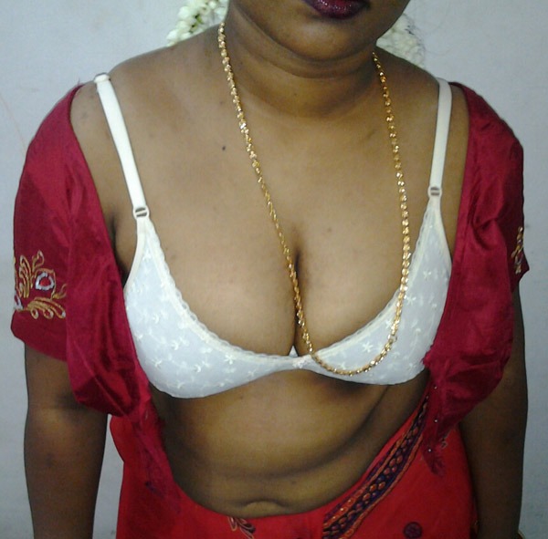 Mallu aunt ki big boobs pics